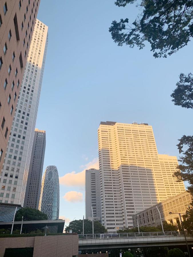 Shinjuku 新宿徒步圈!西新宿!都厅!新宿中央公园!2分钟步行到地铁!精致公寓autolock!106 * Tokyo